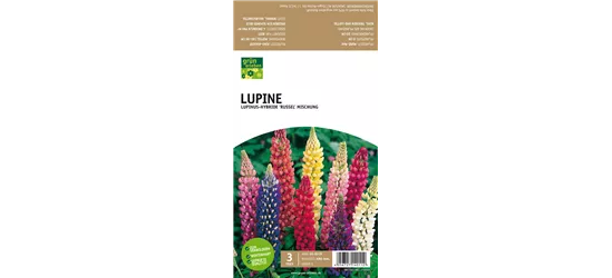 Lupine