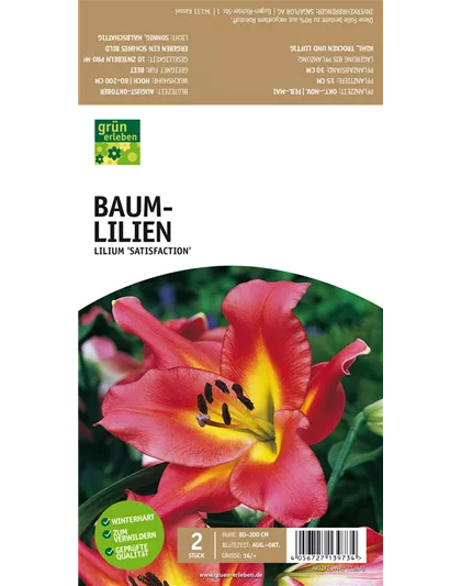 Baum-Lilien