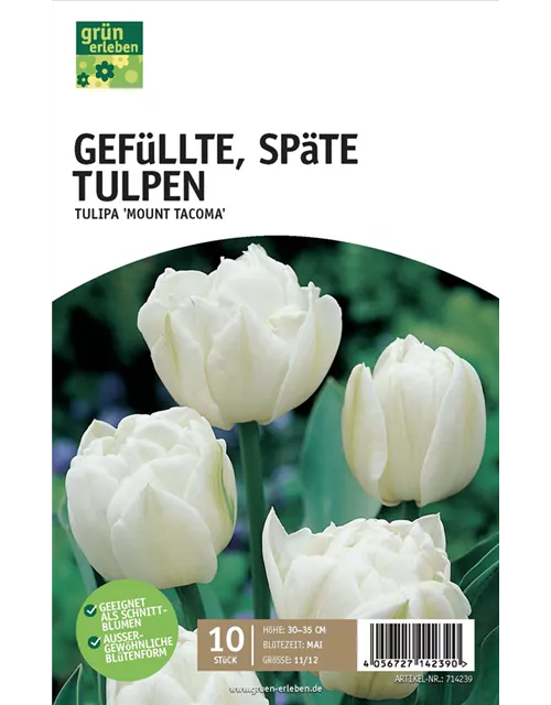 Gefüllte späte Tulpen