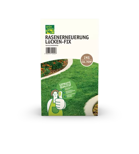 Rasenerneuerung Premium