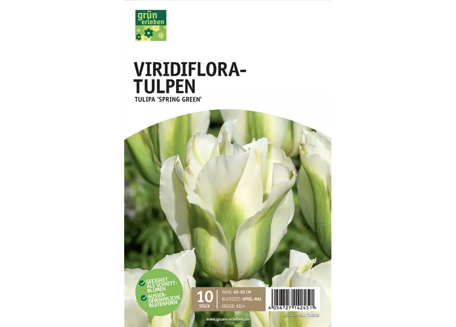 Viridiflora-Tulpen