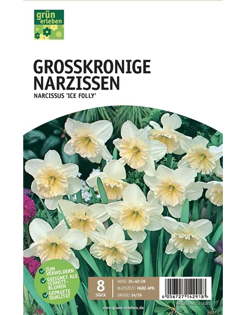 Großkronige Narzissen