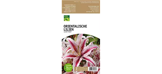 Orientalische Lilien