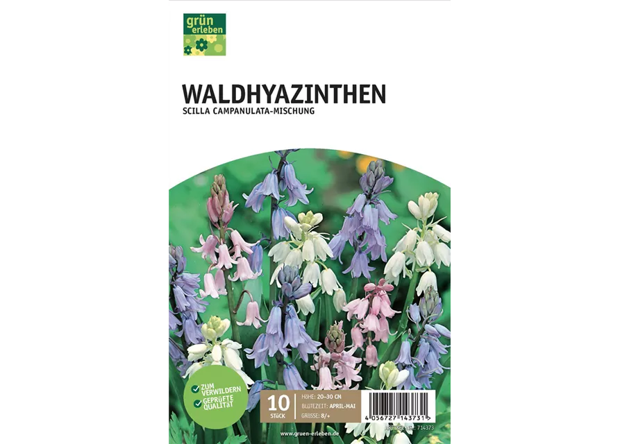 Waldhyazinthen