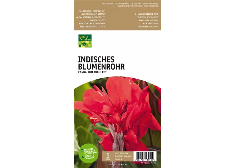 Indisches Blumenrohr