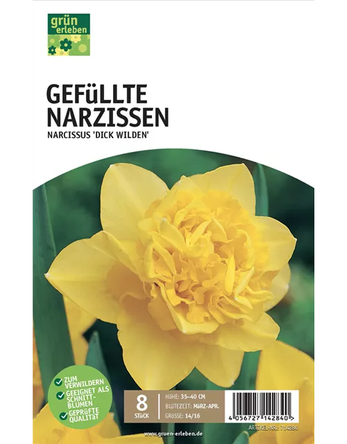 Gefüllte Narzissen