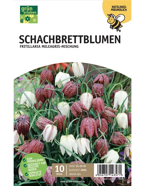 Schachbrettblumen