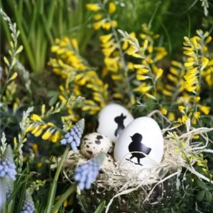 DAS GARTENPARADIES FüR OSTERHASEN